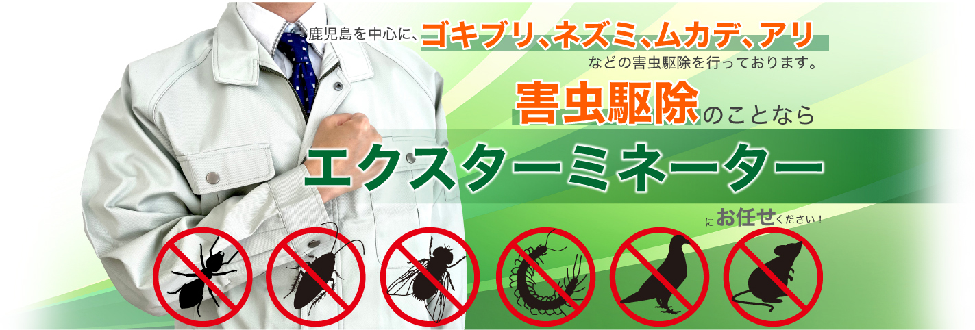 鹿児島を中心に、ゴキブリ、ネズミ、ムカデ、アリなどの害虫駆除を行っております。害虫駆除のことならエクスターミネーターにお任せください！